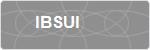 IBSUI