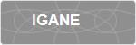 IGANE