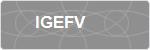 IGEFV