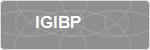 IGIBP