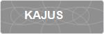 KAJUS