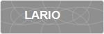 LARIO