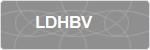 LDHBV