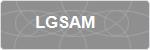 LGSAM