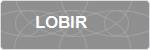 LOBIR