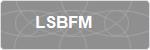 LSBFM