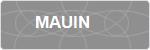 MAUIN