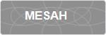 MESAH