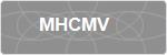 MHCMV