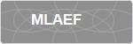 MLAEF