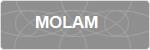 MOLAM