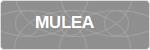 MULEA