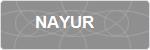 NAYUR