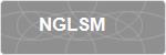 NGLSM