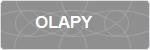 OLAPY