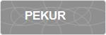 PEKUR