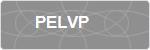 PELVP