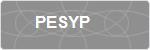 PESYP