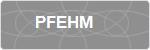 PFEHM