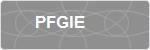 PFGIE