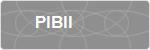 PIBII