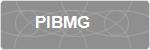 PIBMG