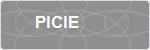PICIE