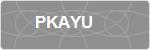 PKAYU