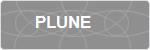PLUNE