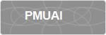 PMUAI