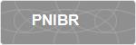 PNIBR