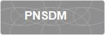 PNSDM