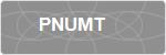 PNUMT
