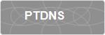 PTDNS