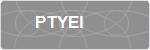PTYEI