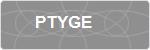 PTYGE