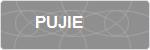 PUJIE
