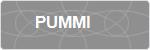 PUMMI