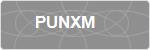 PUNXM