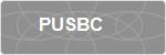PUSBC