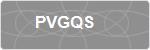 PVGQS
