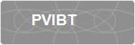 PVIBT