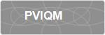 PVIQM