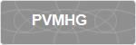 PVMHG
