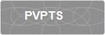 PVPTS