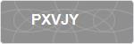 PXVJY
