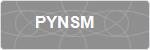 PYNSM