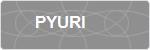 PYURI