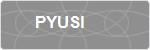 PYUSI