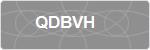 QDBVH